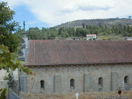 Fotografia 003