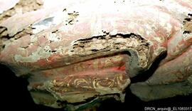 Estado de conservação