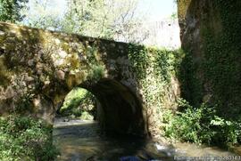 Fotografia 004