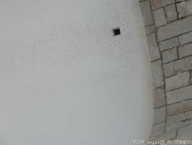 Fotografia 006
