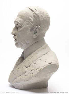 Dr. José de Figueiredo