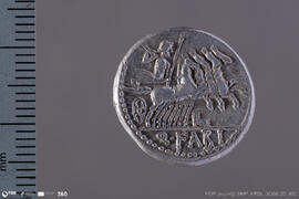 Denarius