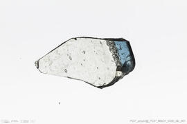 Copo de pedestal  [?]