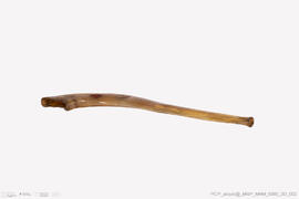 Shofar