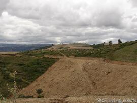 Fotografia 013