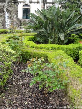 Jardim