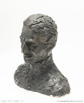 Busto do Coronel Silveira Ramos