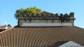 Fotografia (exterior)