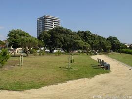 Fotografia 009