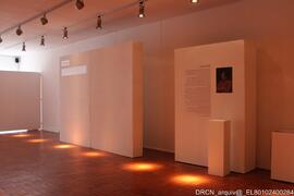 Fotografia 010