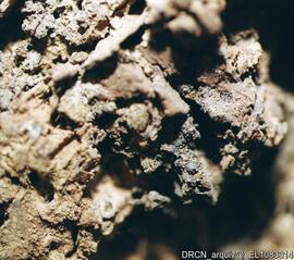 Estado de conservação