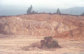 Destruição do Castro