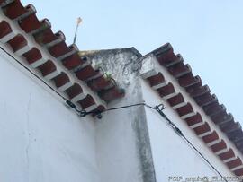 Fotografia (exterior)