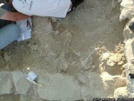 Sondagens  arqueológicas