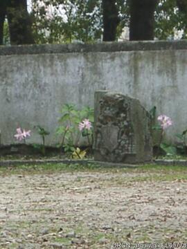 Fotografia 007