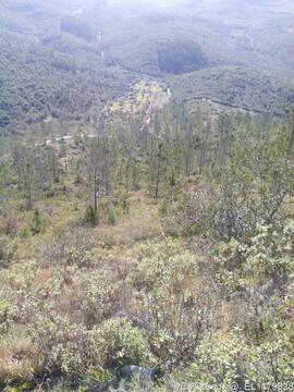 Fotografia do imovel e area envolvente