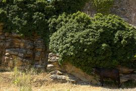 Fotografia 026
