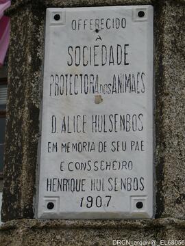 Fotografia 001