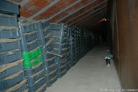 Fotografia 008