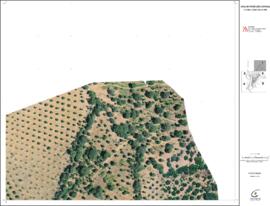 Levantamento topográfico - zona de proteção especial: ortofotomapas (2001)