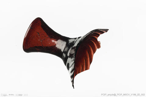 Open original Objeto digital