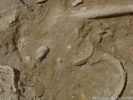 Sondagens  arqueológicas