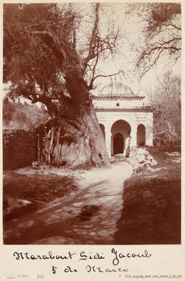 Álbum fotográfico - Viagem de Fev-Mai 1903 ao Mediterrâneo