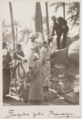 Álbum fotográfico - Viagem de Fev-Mai 1903 ao Mediterrâneo