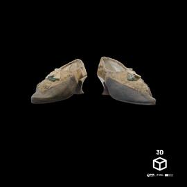 Sapatos (par)/Feminino