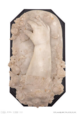 Mão e antebraço direitos de criança