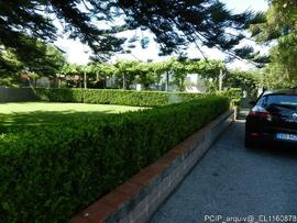 Jardim