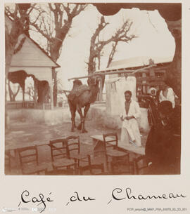 Álbum fotográfico - Viagem de Fev-Mai 1903 ao Mediterrâneo