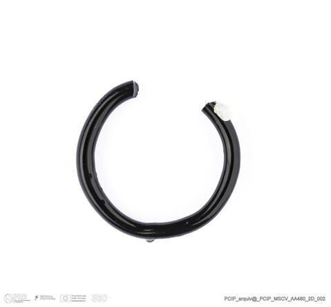 Open original Digital object