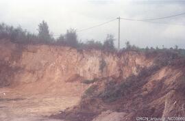 Destruição do Castro