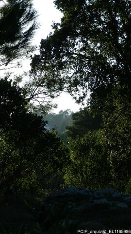 Fotografia
