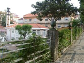 Imediações / Área envolvente