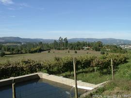 Fotografia 010