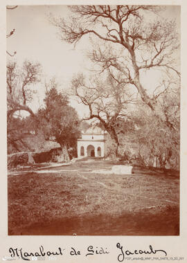 Álbum fotográfico - Viagem de Fev-Mai 1903 ao Mediterrâneo