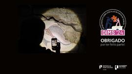 Campanha de Agradecimento - Banner Redes Sociais