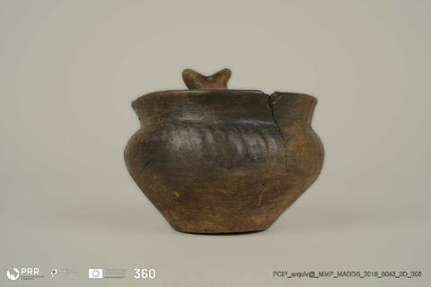 Open original Digital object