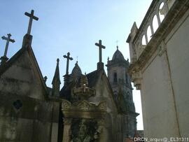 Fotografia 008