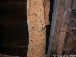 Fotografia (interior do imovel)