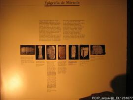 Fotografia 006