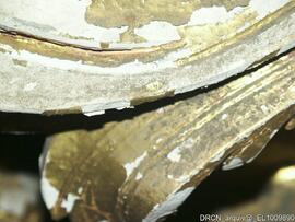 Fotografia 008