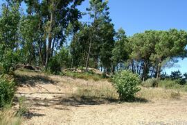 Fotografia do local e imediações