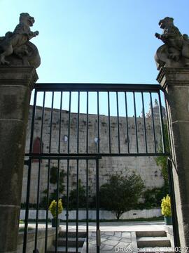 Fotografia 001