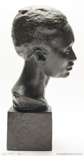 Cabeça de Negra