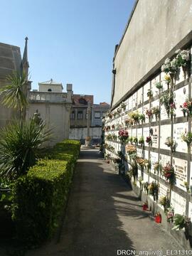 Fotografia 007