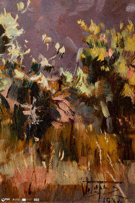 O Penedo Amarelo de Miranda do Douro