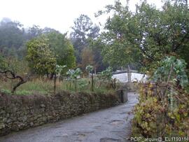 Fotografia (imediacoes/ acessos)